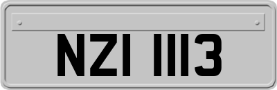 NZI1113