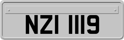 NZI1119