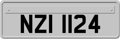 NZI1124