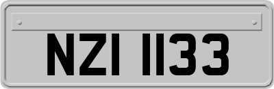 NZI1133