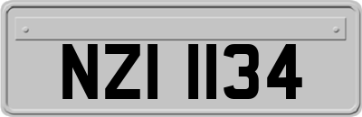 NZI1134