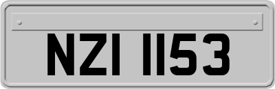 NZI1153