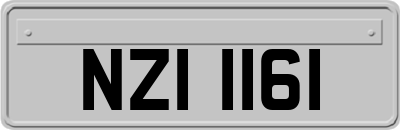 NZI1161