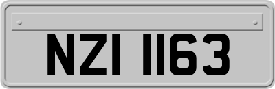 NZI1163