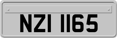 NZI1165
