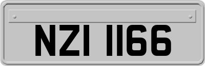 NZI1166
