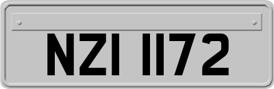 NZI1172