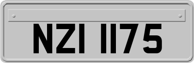NZI1175