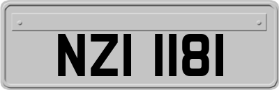 NZI1181