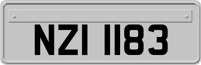 NZI1183