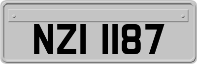 NZI1187