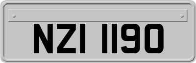 NZI1190
