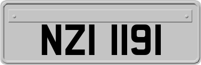 NZI1191