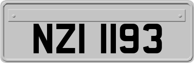 NZI1193