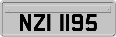 NZI1195