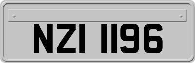 NZI1196