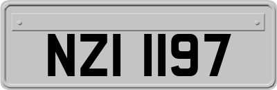 NZI1197
