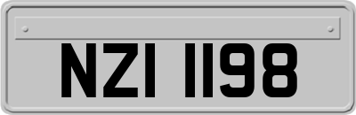 NZI1198