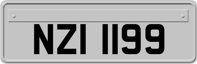 NZI1199