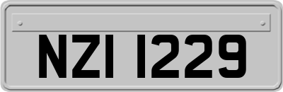 NZI1229