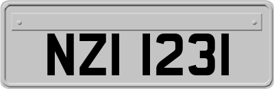 NZI1231