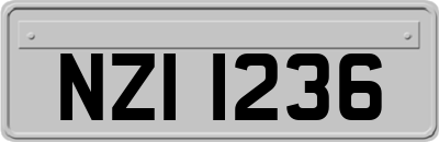 NZI1236