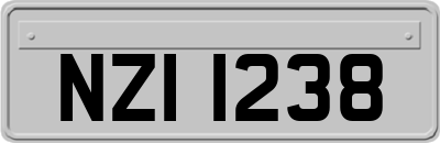NZI1238