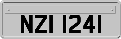 NZI1241
