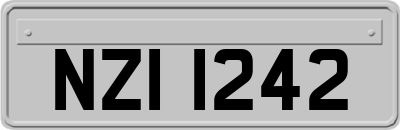 NZI1242