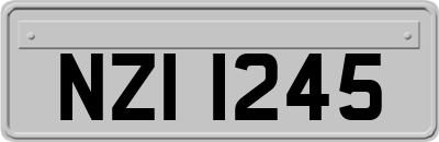 NZI1245