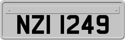 NZI1249