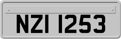NZI1253