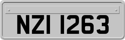 NZI1263