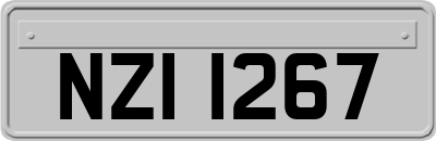 NZI1267