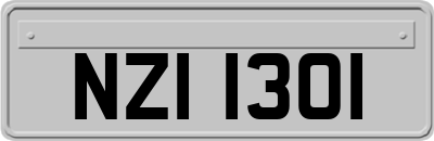 NZI1301