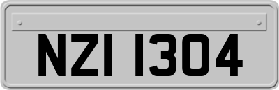 NZI1304