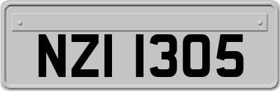 NZI1305