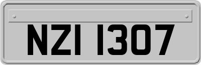 NZI1307