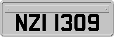 NZI1309