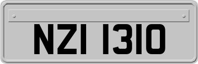 NZI1310