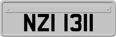 NZI1311