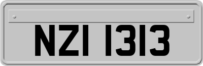 NZI1313