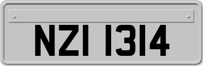 NZI1314