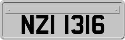 NZI1316