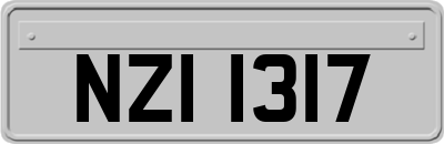 NZI1317