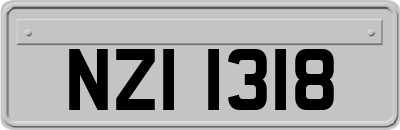 NZI1318