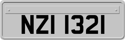 NZI1321