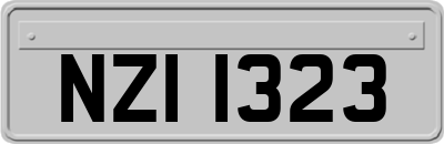 NZI1323