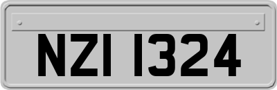 NZI1324