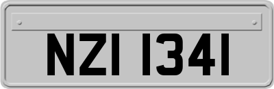 NZI1341